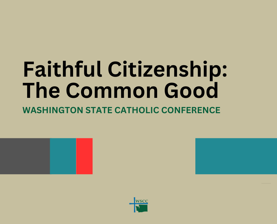 Faithful Citizenship The Common Good 940x760